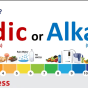 🧪 Acidic vs Alkaline Water – क्या फर्क है इन दोनों में?
